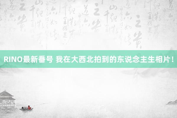 RINO最新番号 我在大西北拍到的东说念主生相片!