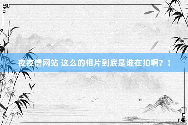 夜夜撸网站 这么的相片到底是谁在拍啊?!