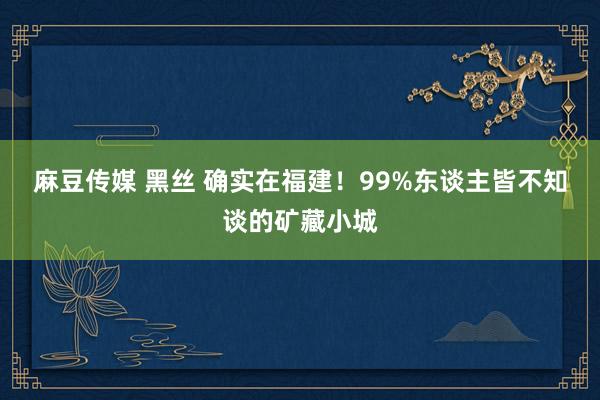 麻豆传媒 黑丝 确实在福建!99%东谈主皆不知谈的矿藏小城
