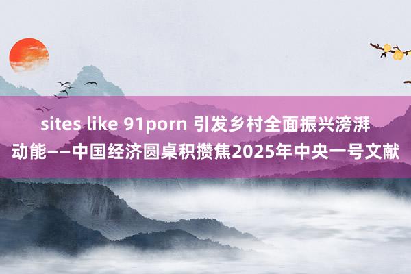sites like 91porn 引发乡村全面振兴滂湃动能——中国经济圆桌积攒焦2025年中央一号文献