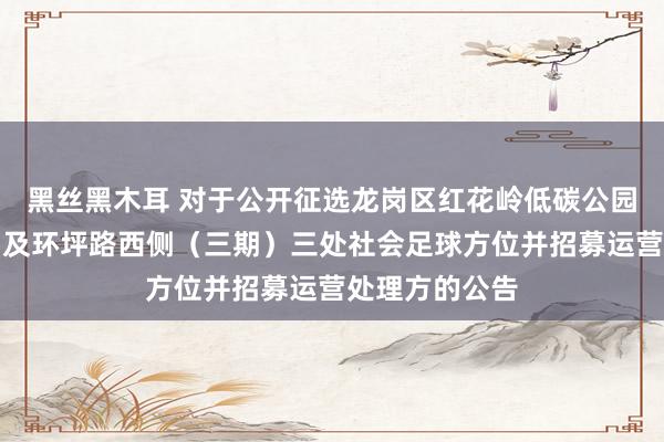 黑丝黑木耳 对于公开征选龙岗区红花岭低碳公园、红花岭公园及环坪路西侧（三期）三处社会足球方位并招募运营处理方的公告