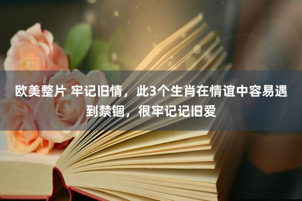 欧美整片 牢记旧情，此3个生肖在情谊中容易遇到禁锢，很牢记记旧爱