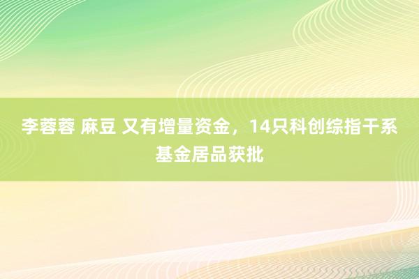 李蓉蓉 麻豆 又有增量资金，14只科创综指干系基金居品获批