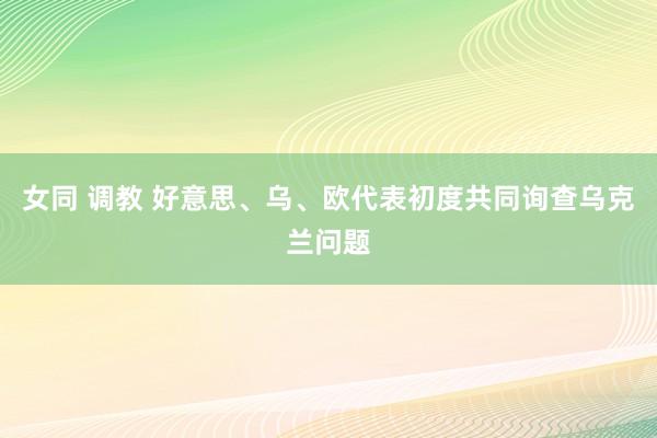 女同 调教 好意思、乌、欧代表初度共同询查乌克兰问题
