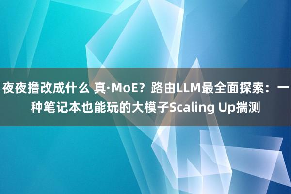 夜夜撸改成什么 真·MoE？路由LLM最全面探索：一种笔记本也能玩的大模子Scaling Up揣测